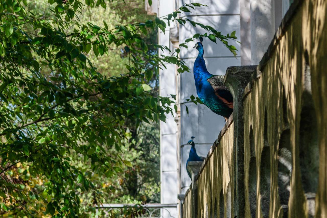 Casas Da Tapada Lägenhet Lisboa Exteriör bild